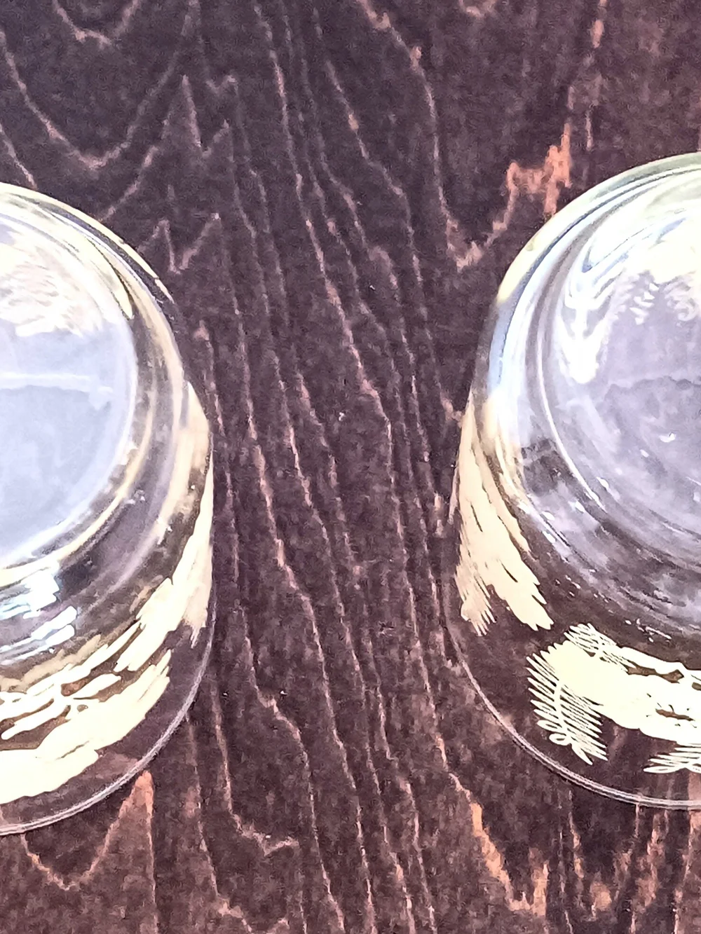 Vintage MCM Yellow Hibiscus And Fern Libbey Glass Pair